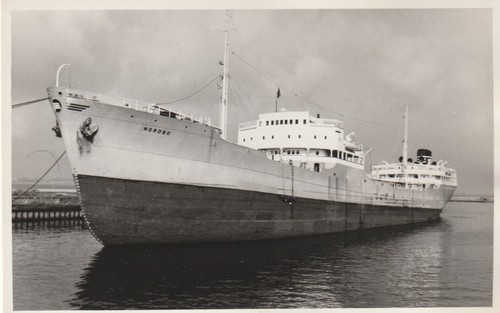 Vintage postcard rppc t - postcard, m/t